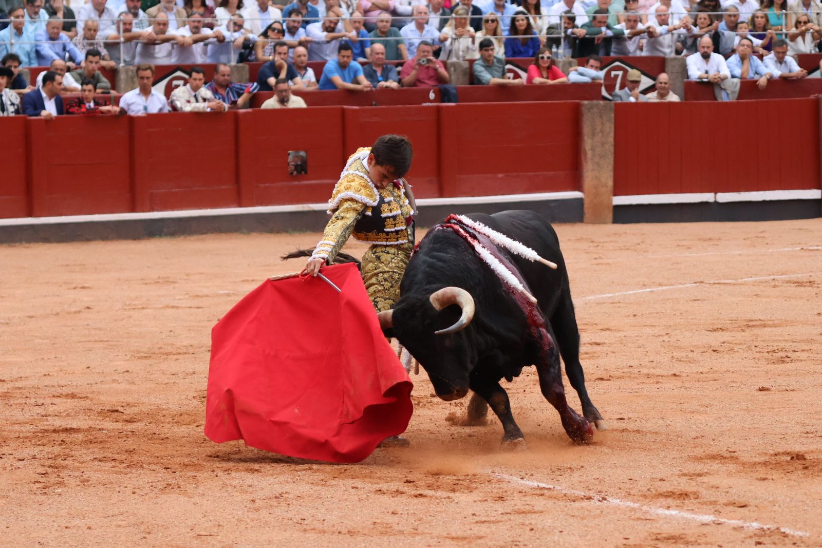 Ismael Martín, Marco Pérez y el aclamado regreso de Morante de la Puebla: su paso por La Glorieta en imágenes