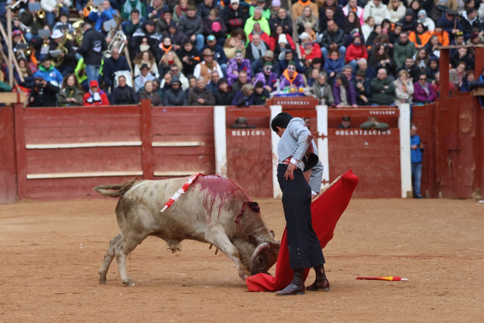 Novillada sin picadores del bolsín taurino y rejones en Ciudad Rodrigo