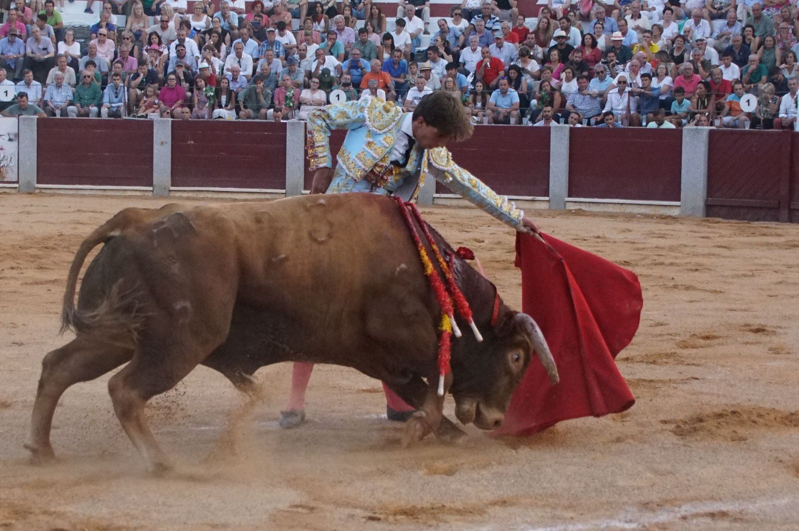 Novillada mixta en picadores en Guijuelo, 17 de agosto