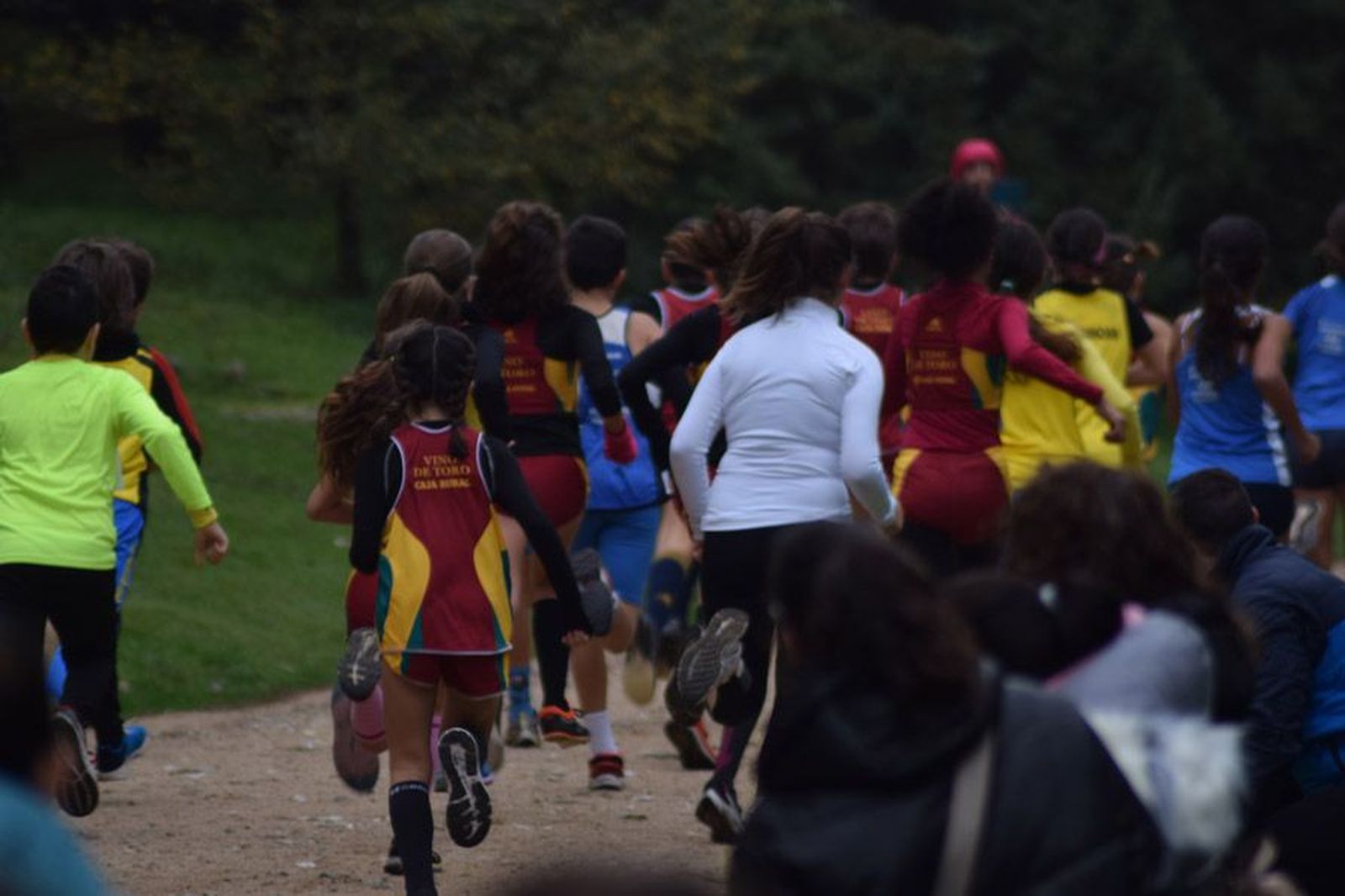 cross-de-otono-en-el-bosque-de-valorio-43