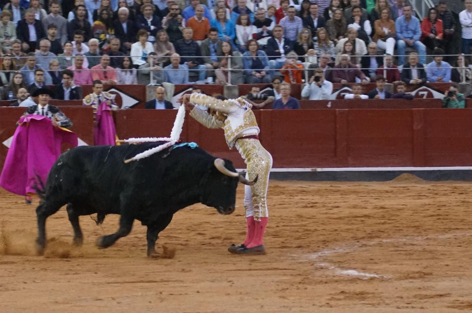 corrida-concurso-momentos-mas-destacados-del-ultimo-festejo-de-abono-de-la-feria-taurina-virgen-de-la-vega-2024-fotos-carlos-h-g-y-juanes-17