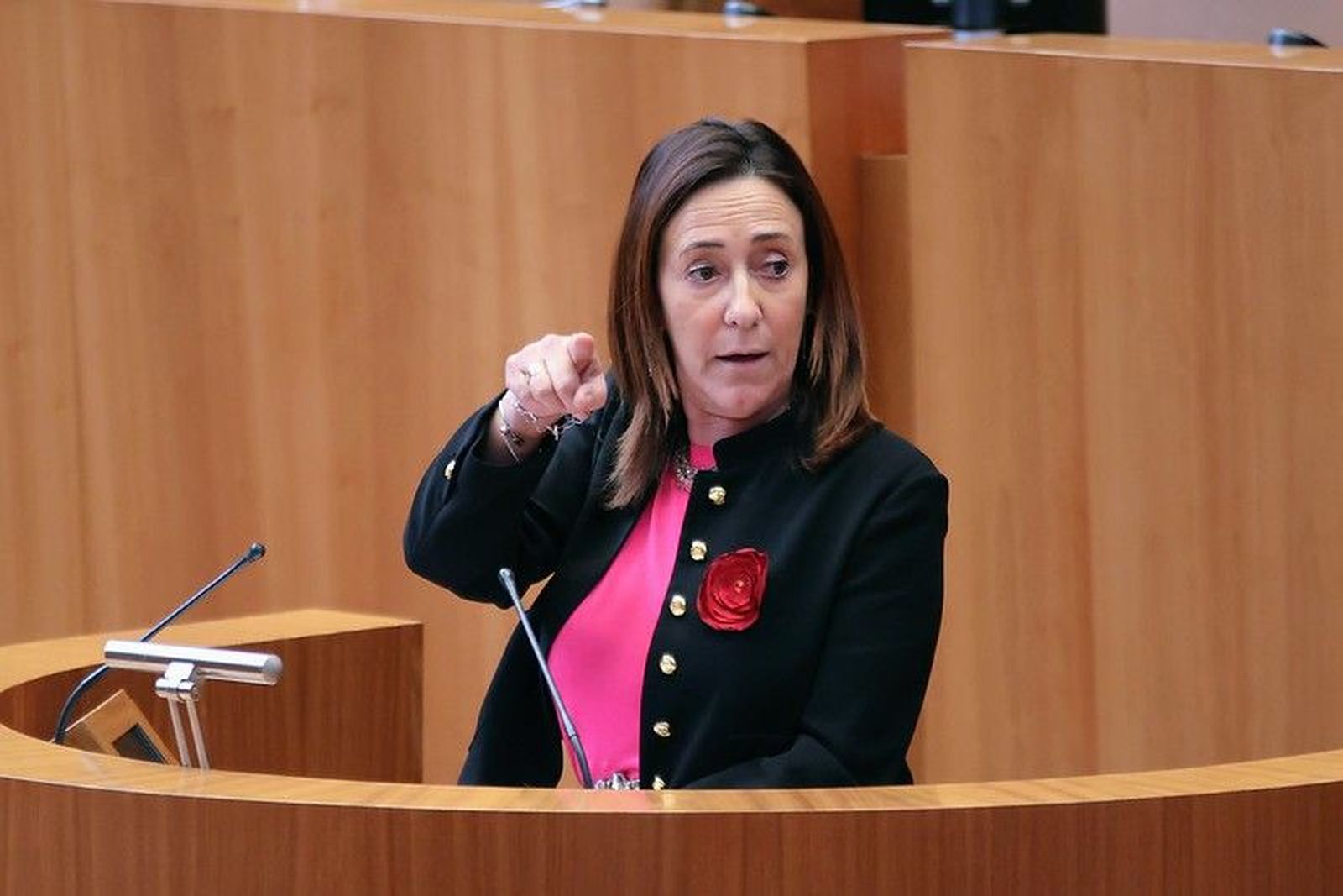 Foto Rosa Rubio. Cortes