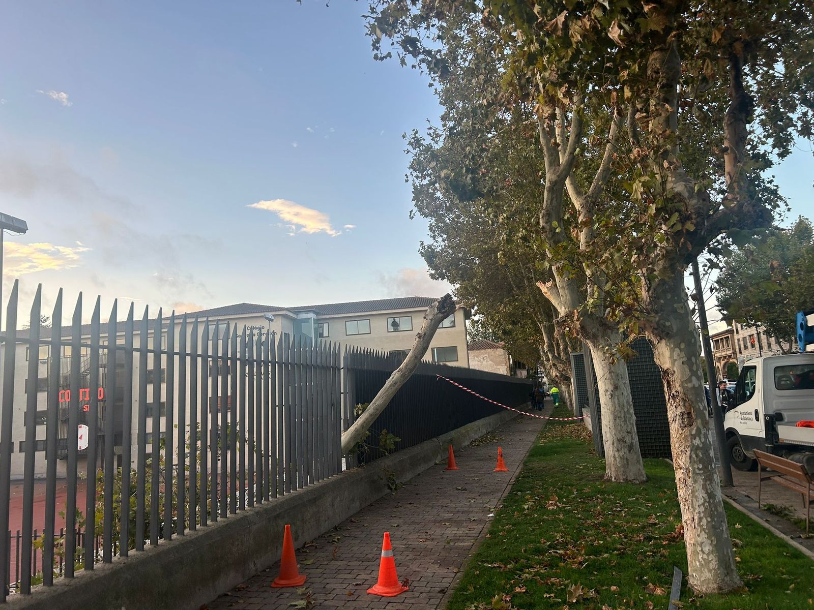 rboles-caidos-en-la-avenida-de-los-reyes-de-espana-4