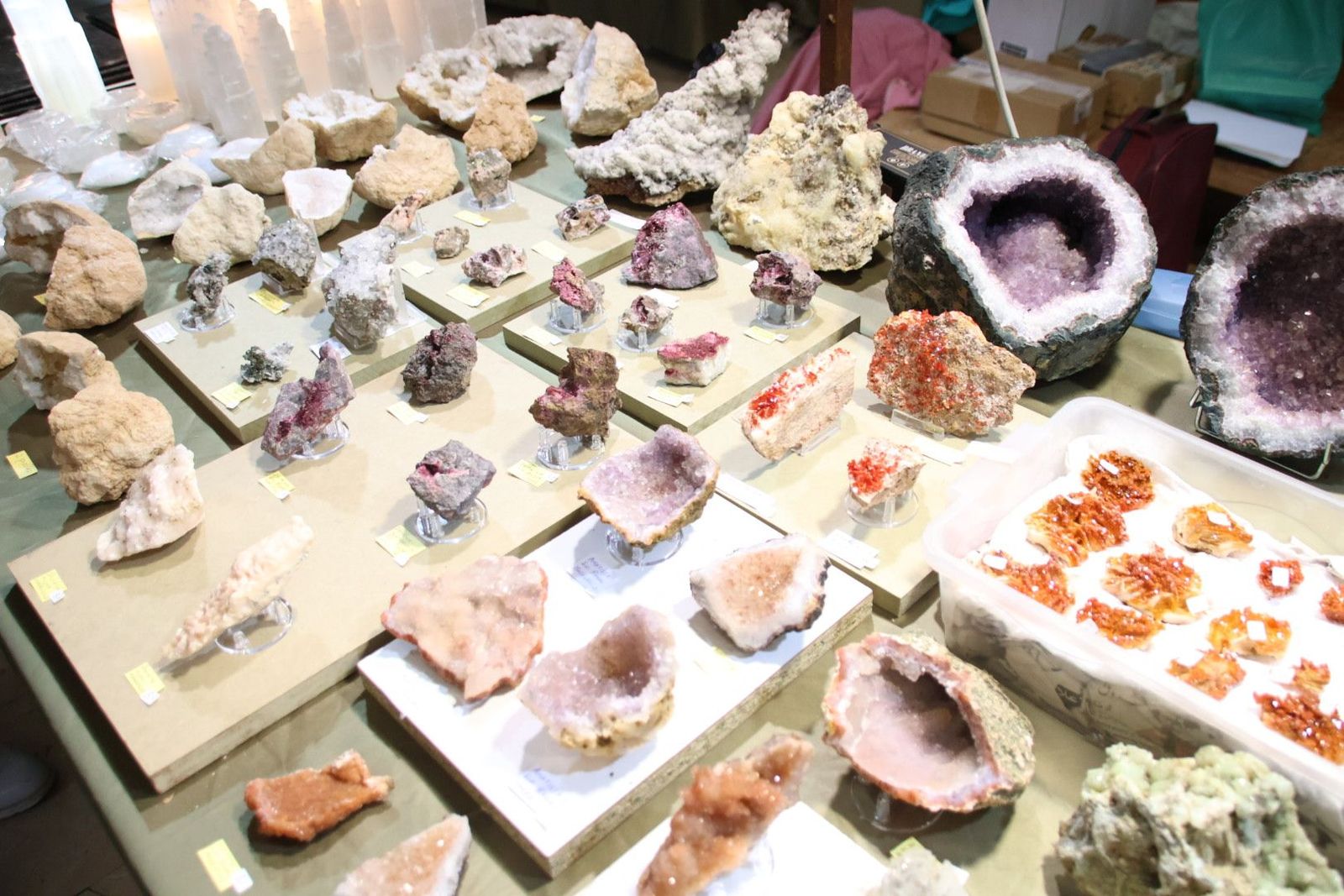 20240517103318-img-0404