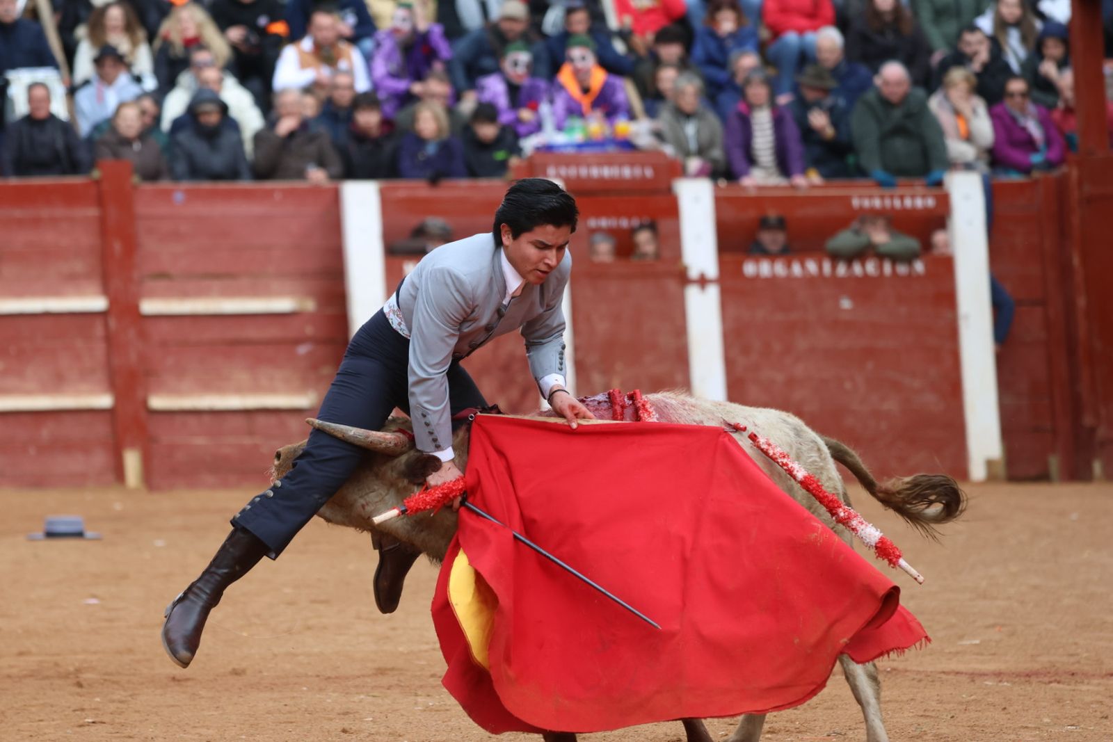 Novillada sin picadores del bolsín taurino y rejones en Ciudad Rodrigo