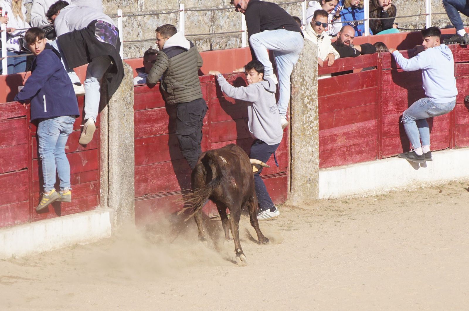 espantos-en-ledesma-domingo-2-de-junio-foto-juanes-123