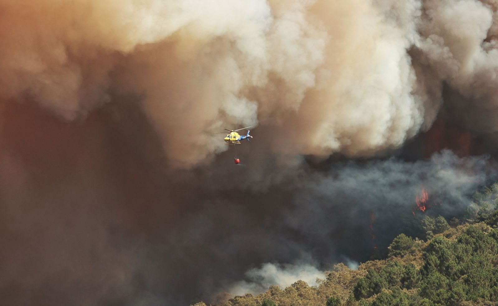 Incendio forestal en El Payo. Fotos ICAL Jose Vicente  (12).jpg