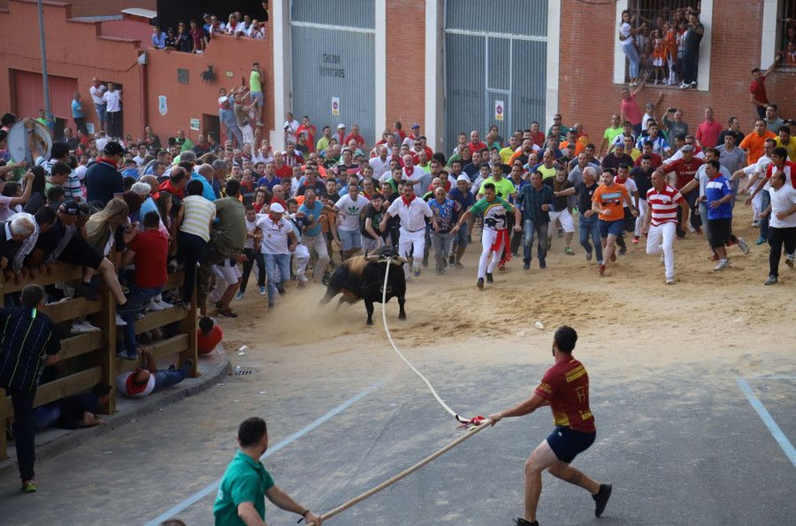 Celebración del Toro Enmaromado Foto: María Lorenzo