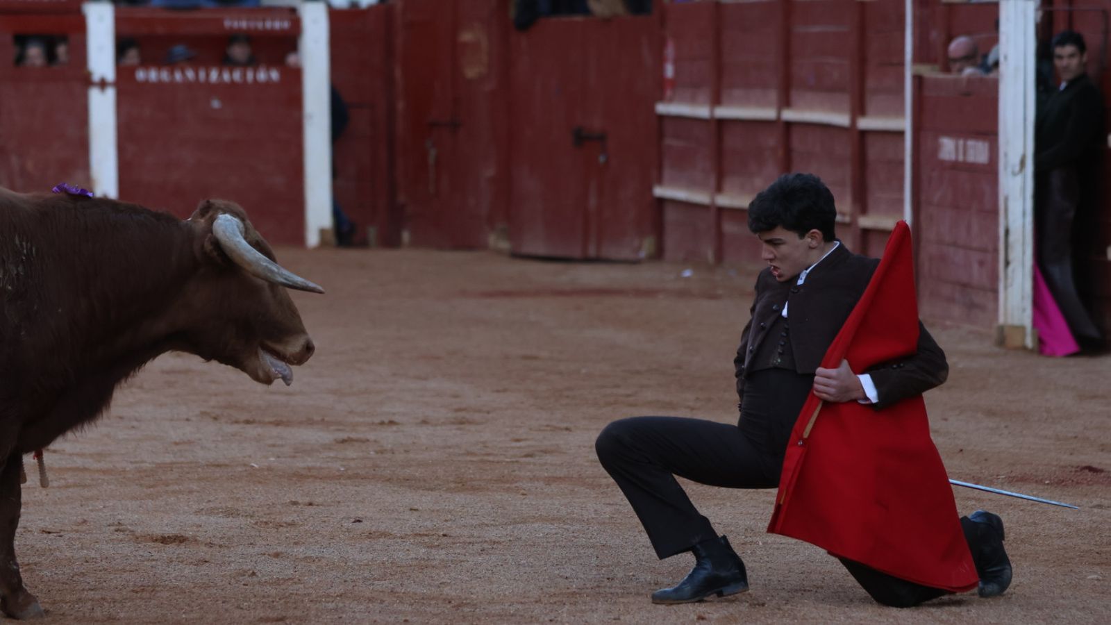 Moisés Fraile en el festival taurino del Sábado en el Carnaval del Toro 2026 de Ciudad Rodrigo