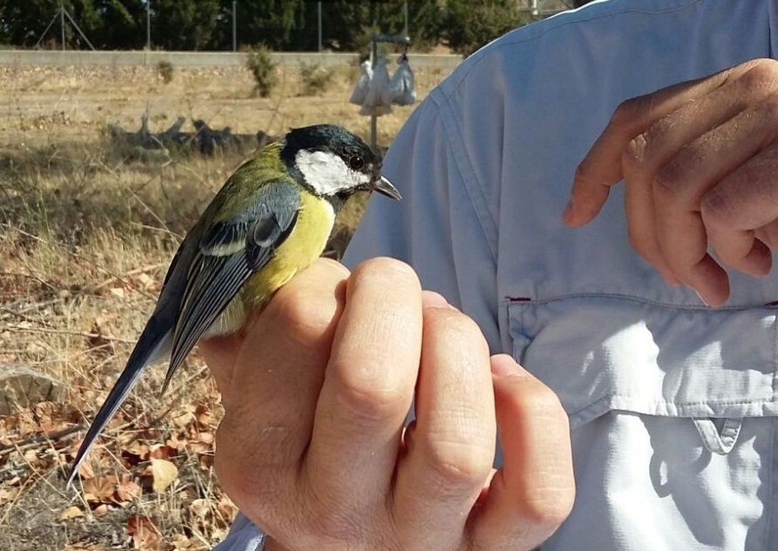Paseos por el parque de los Jesuitas y la ribera del Tormes por el Día de las Aves
