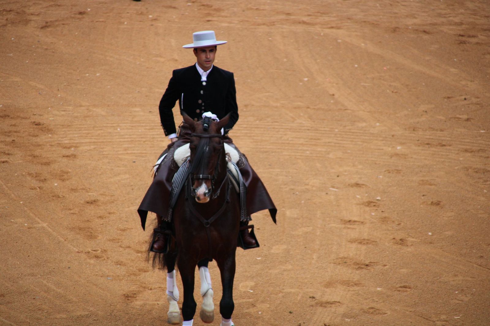 whatsapp-image-2025-03-02-at-16-55-47-2