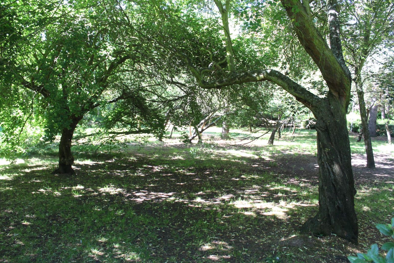 whatsapp-image-2024-07-02-at-11-30-14-3