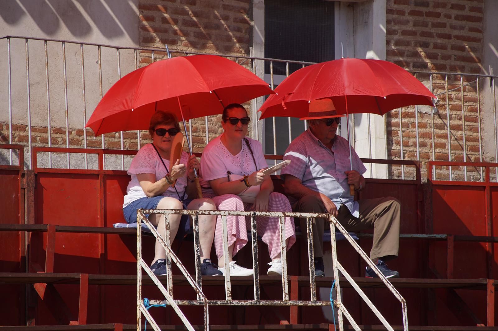 toro-de-cajon-de-castrillo-de-la-guarena-fotos-juanes-41