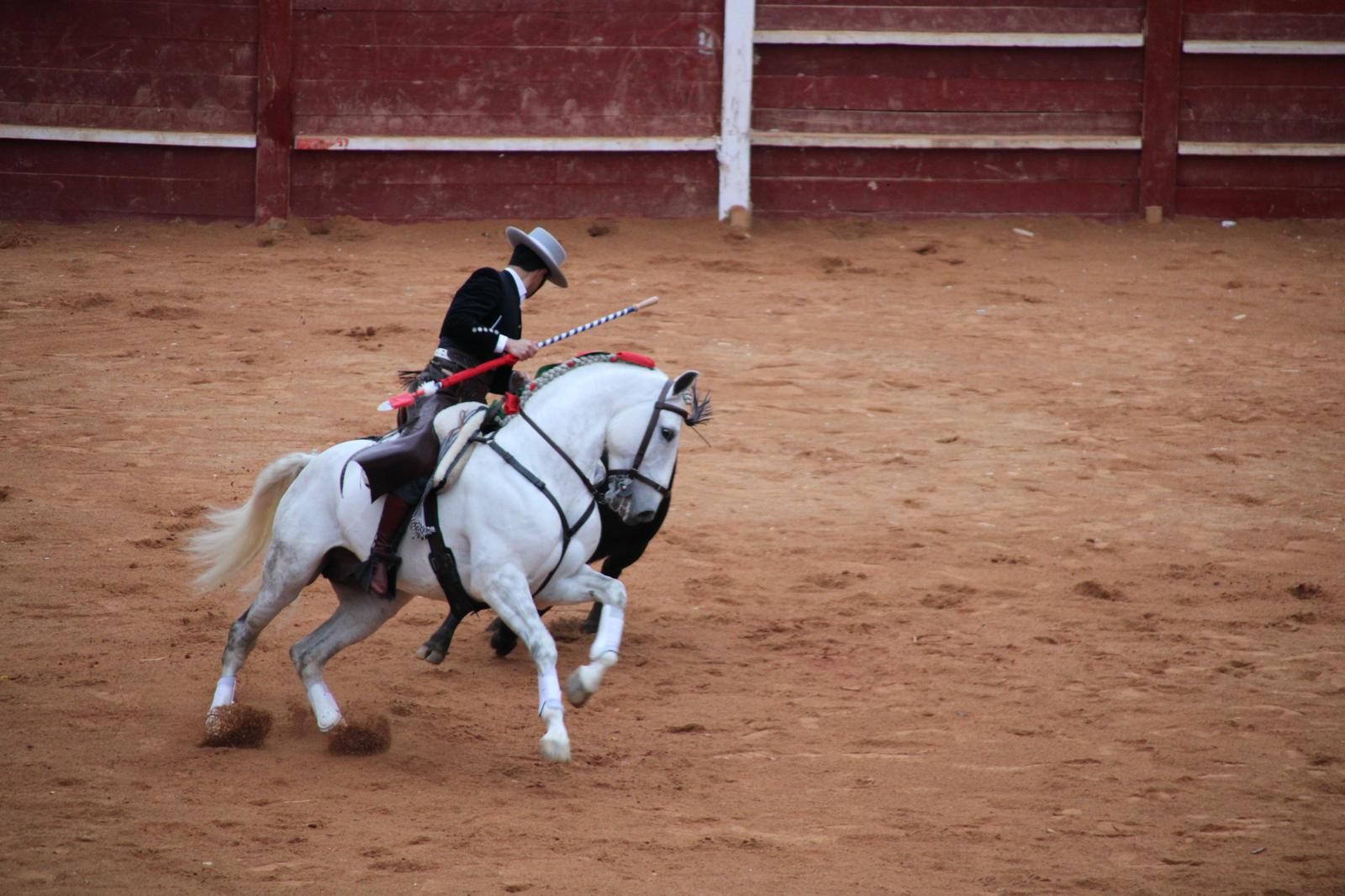 whatsapp-image-2025-03-02-at-18-55-49