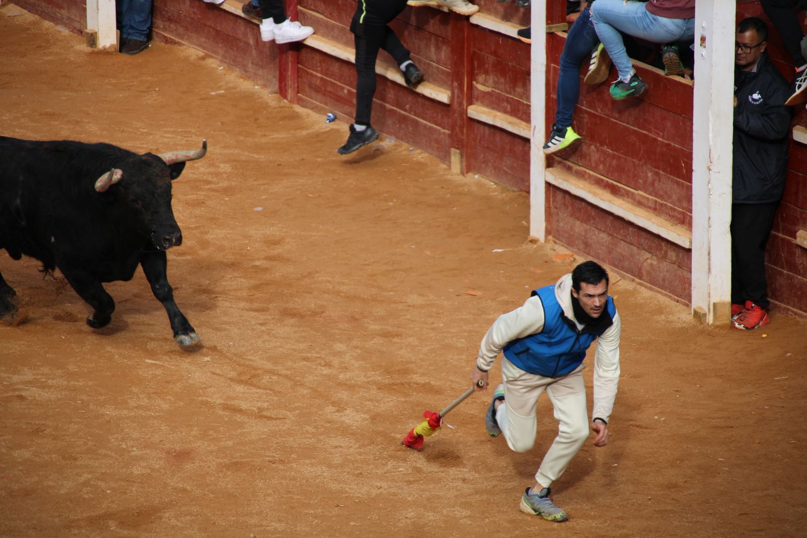 Encierro de martes en el Carnaval del Toro de Ciudad Rodrigo 2026