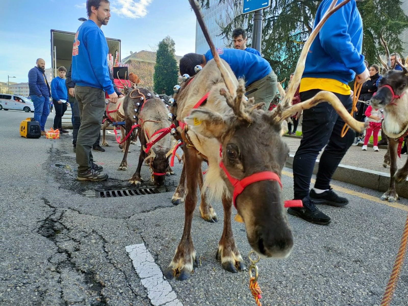 Archivo   Preparando cabalgata de Papá Noel en Oviedo. Animales en cabalgata.   EUROPA PRESS