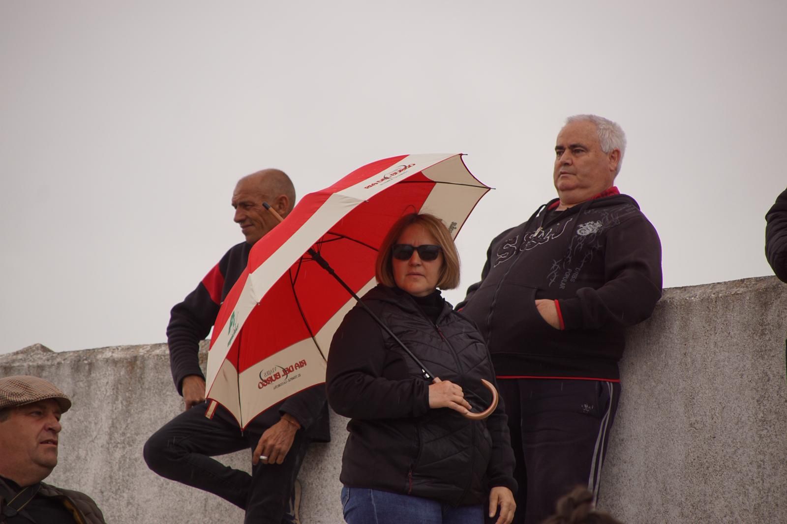 Villoria, toro del Voto