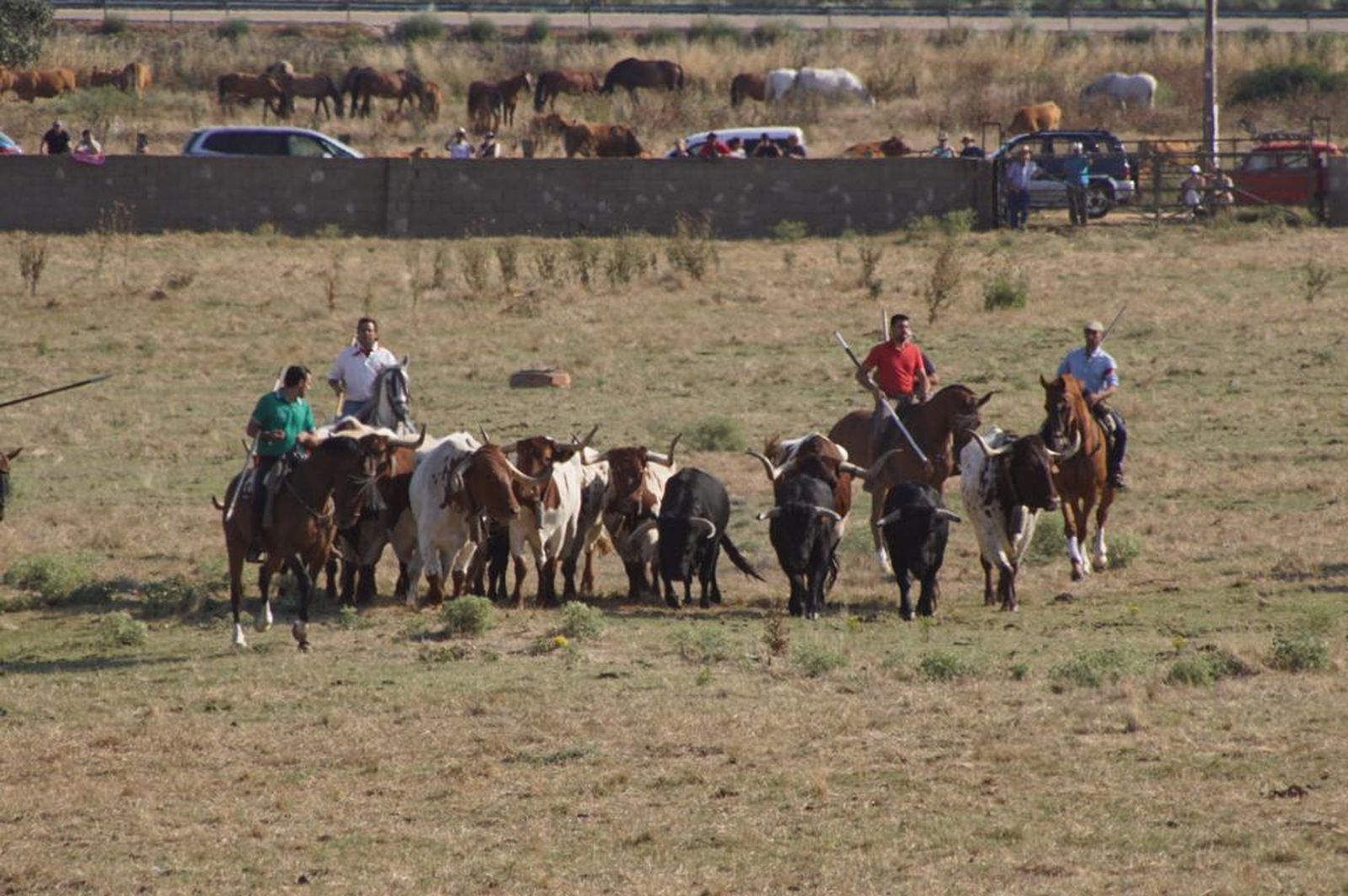 espantes-de-fuentesauco-7