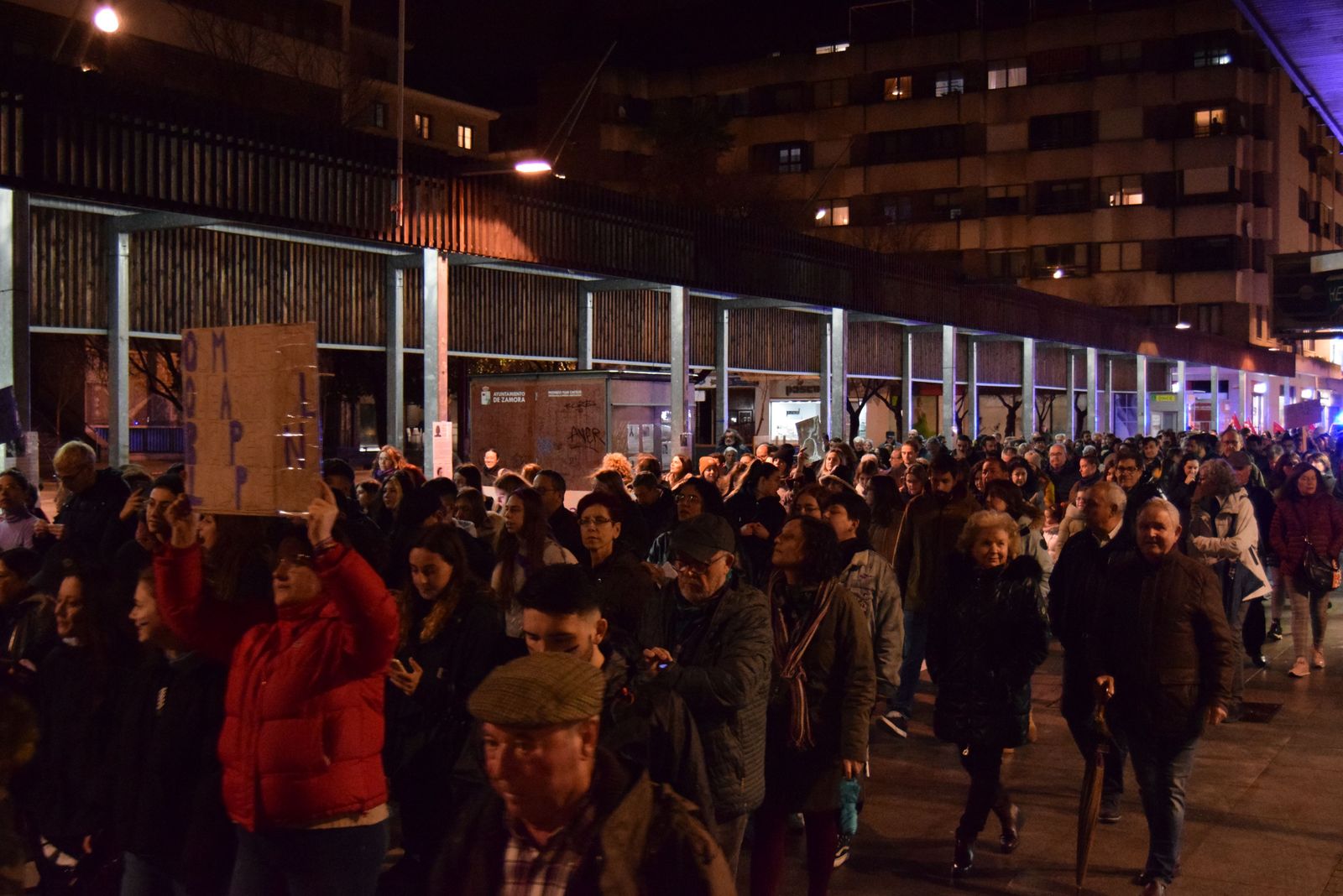 manifestacion-por-el-8m-en-zamora-15