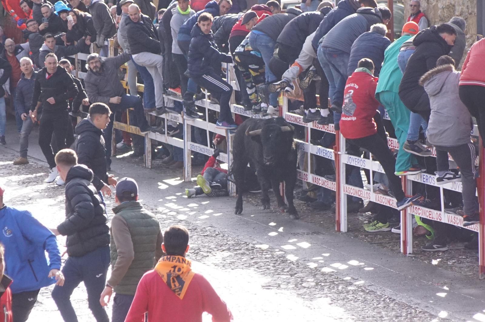 ambiente-encierro-urbano-lunes-de-carnaval-en-ciudad-rodrigo-12-de-febrero-de-2024-fotos-s24h-26