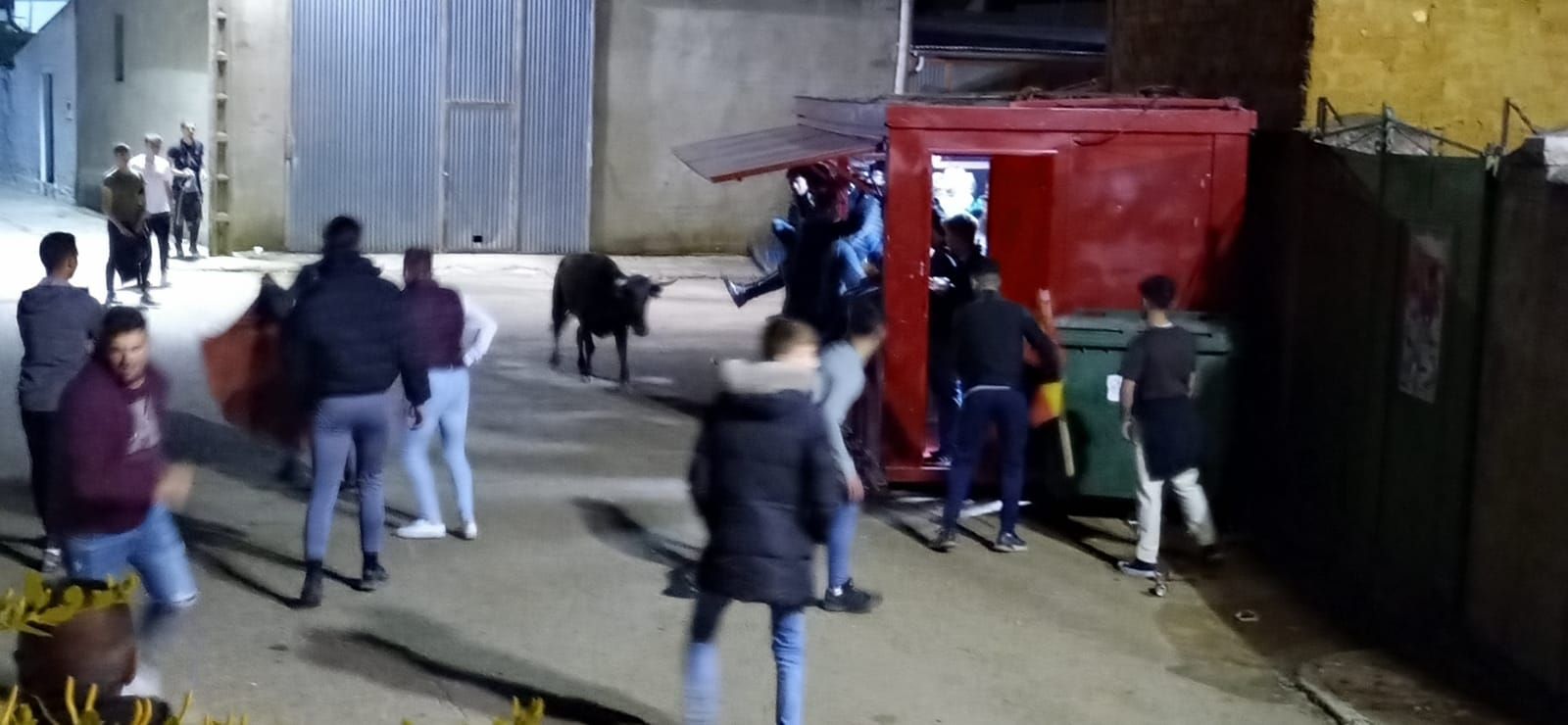 suelta-nocturna-de-vaquillas-durante-las-fiestas-patronales-de-cabrillas-4