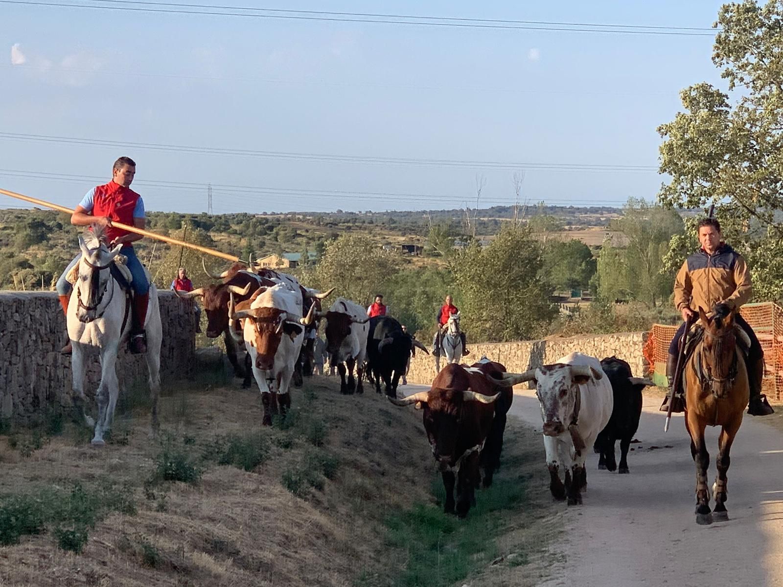 Segundo encierro Aldeadávila de la Ribera. Vídeo S24H (1)