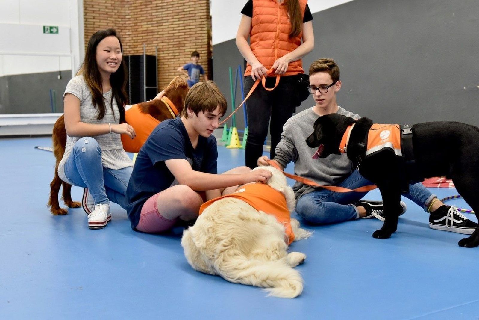 Programa de terapia de perros, en una imagen de archivo
