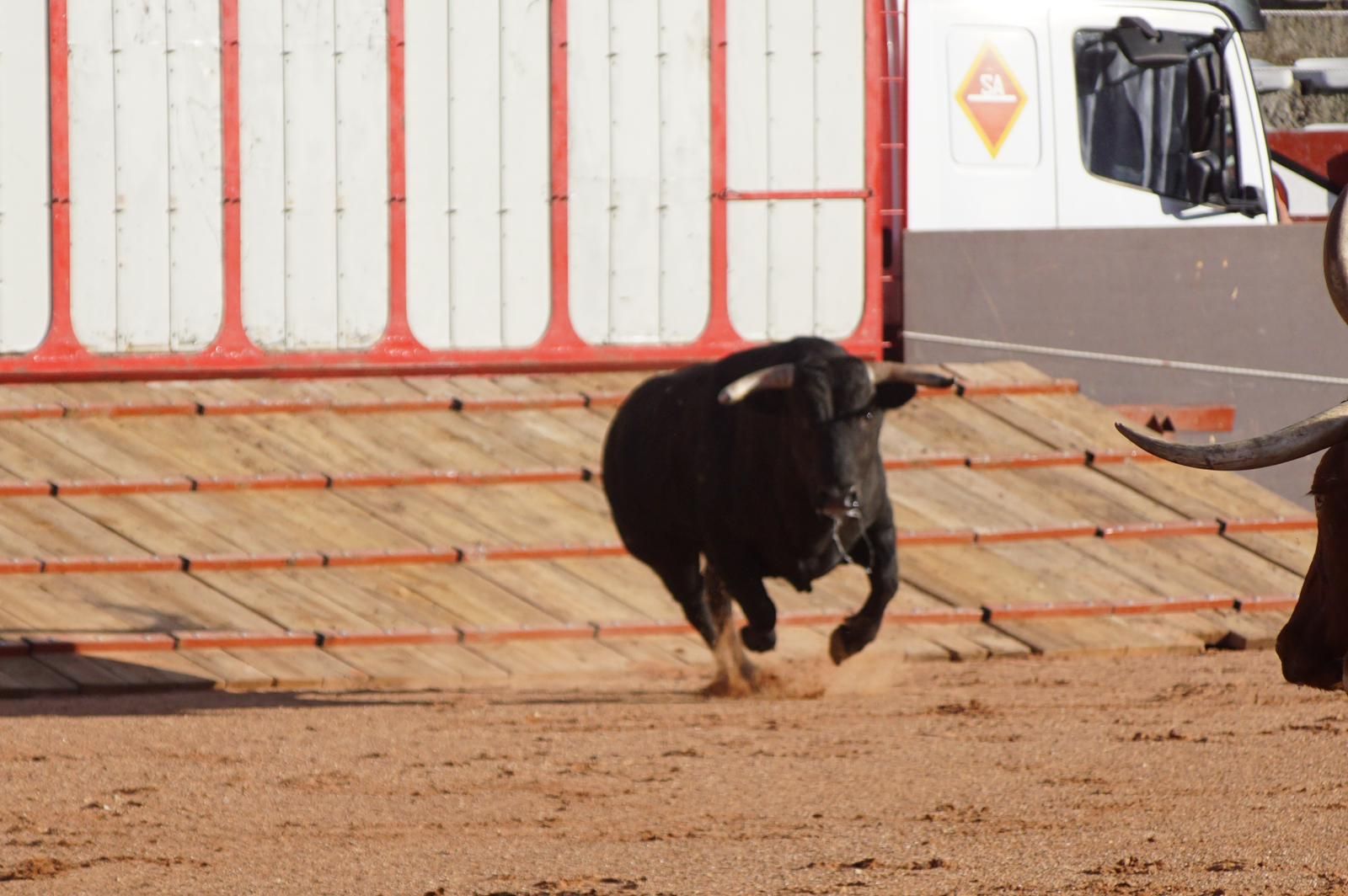 whatsapp-image-2023-09-08-at-19-29-33-1