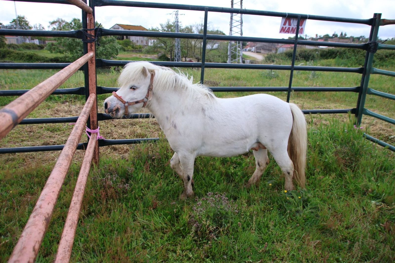 20240501102454-img-2880