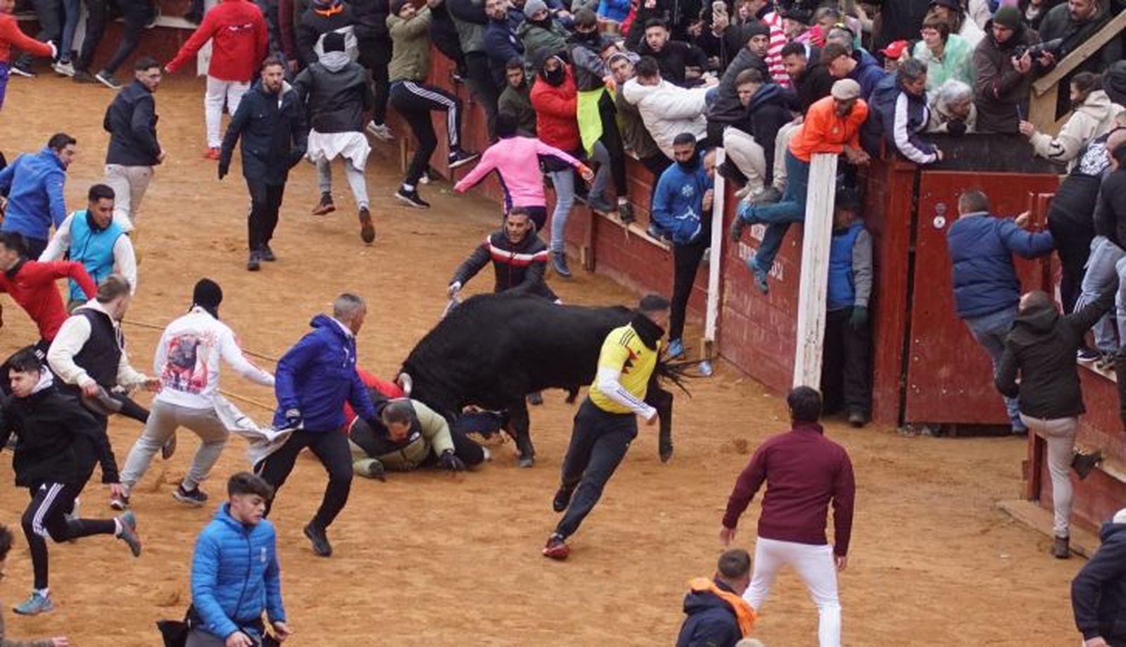 Ambiente en el encierro a caballo del Domingo de Carnaval 2025 en Ciudad Rodrigo (21)