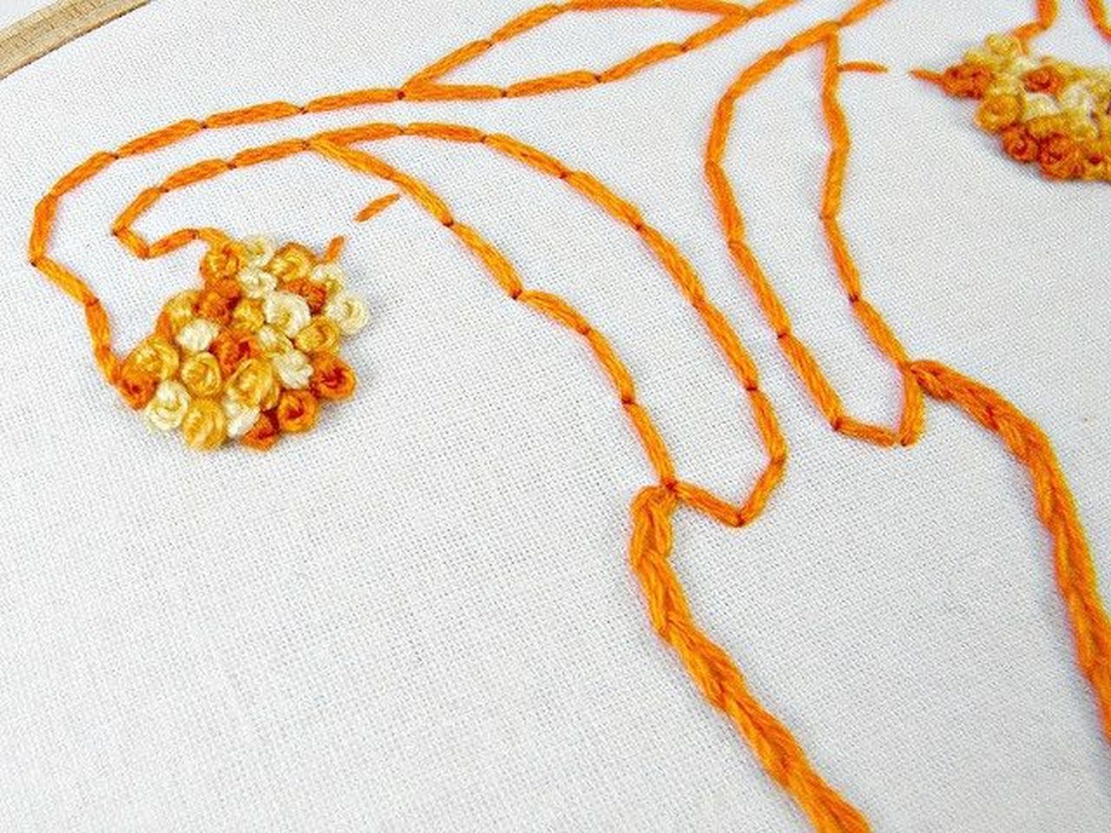 Ovarios, óvulos, aparato reproductor femenino