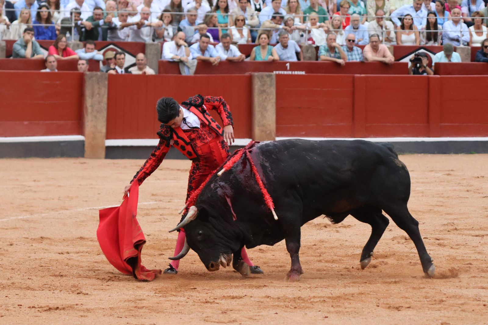 Ismael Martín, Marco Pérez y el aclamado regreso de Morante de la Puebla: su paso por La Glorieta en imágenes