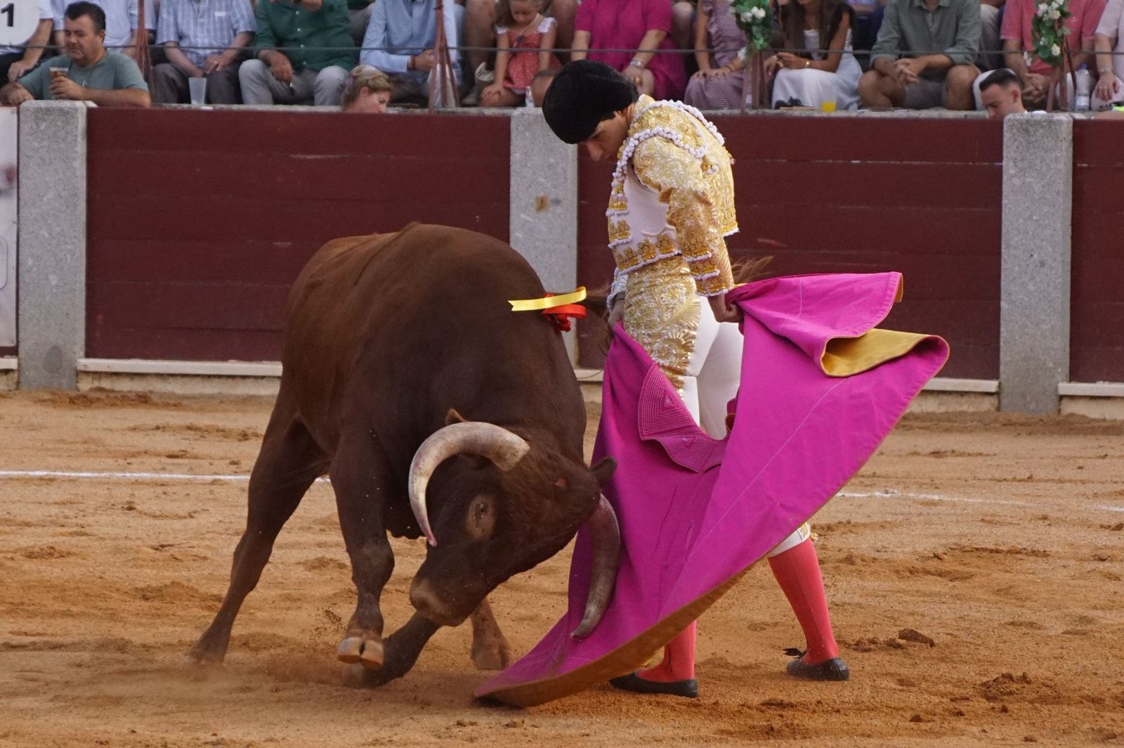 Novillada mixta en picadores en Guijuelo, 17 de agosto