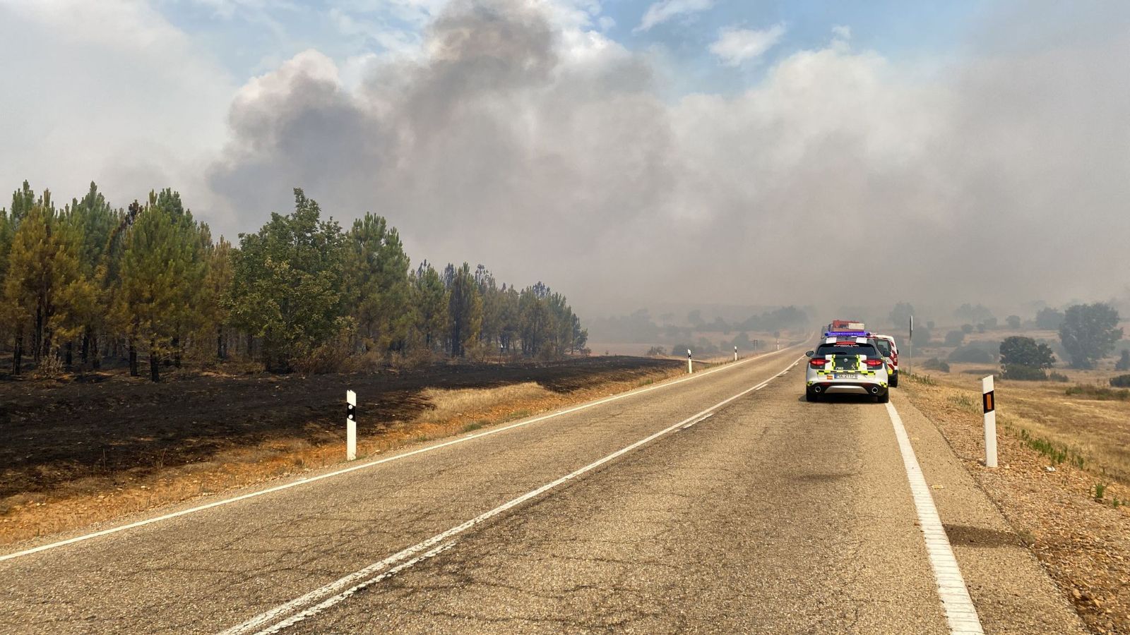 Imagen del incendio de Losacio. Foto David Barrueco