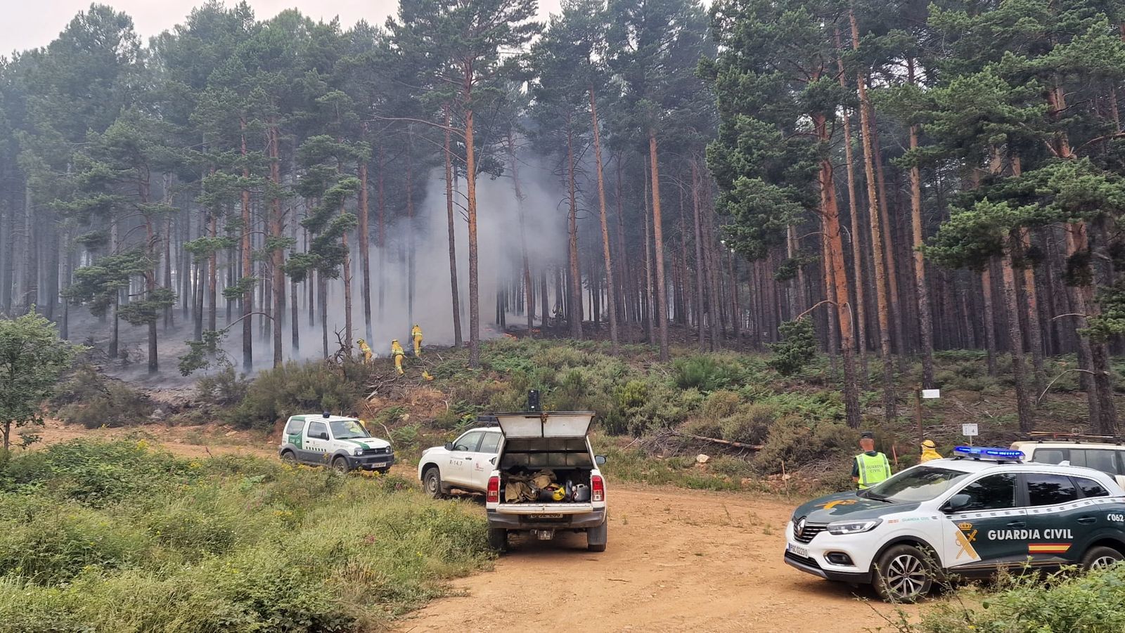 incendio-en-la-sierra-de-la-culebra-2