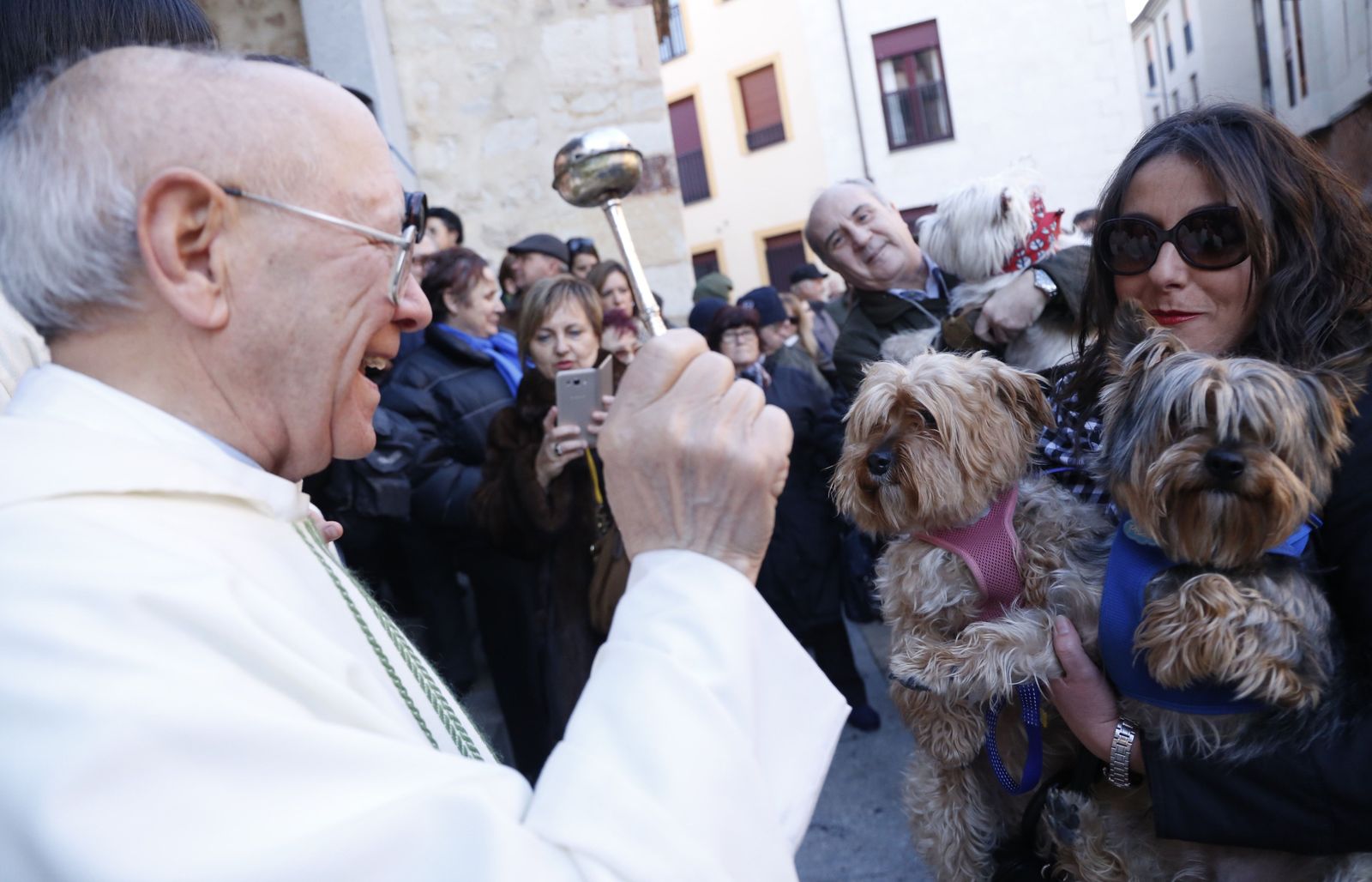 Bendición de animales por San Antón