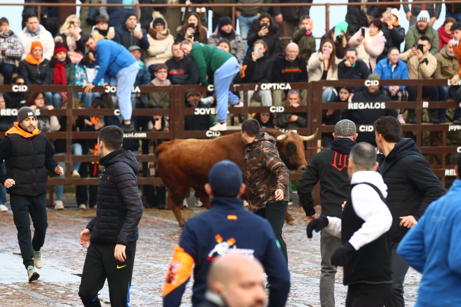 Toro del aguardiente en la mañana de martes del Carnaval del Toro 2026