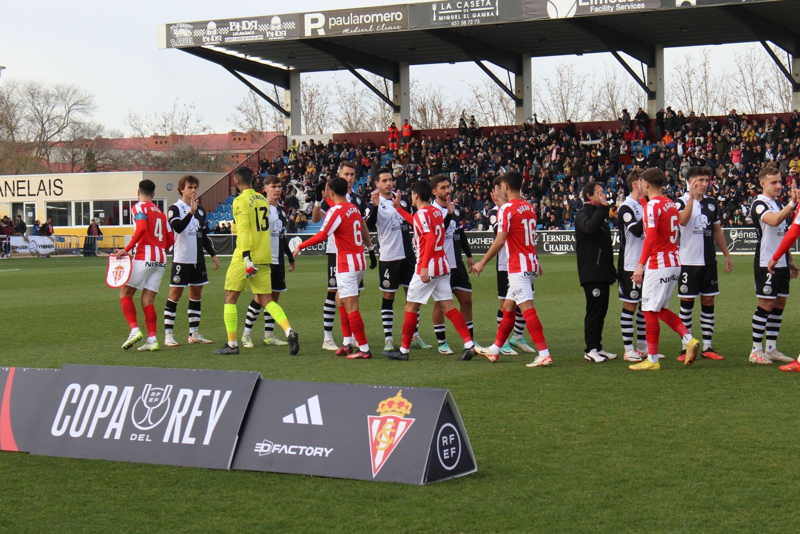 20231206175236-img-6825