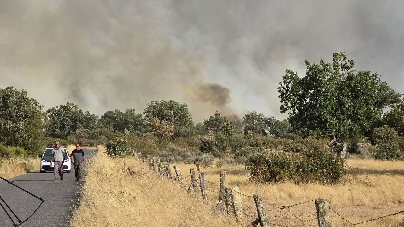 El incendio de Cipérez (IGR2) llega hasta Cerezal de Puertas
