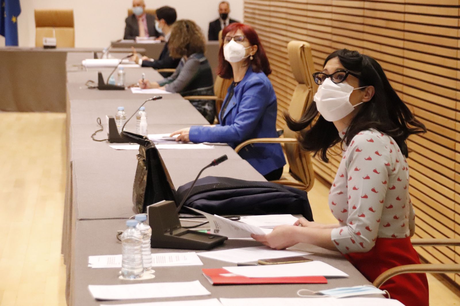 Izquierda Unida de Salamanca plantea más de 30 enmiendas al Plan de Familia, Infancia y Adolescencia