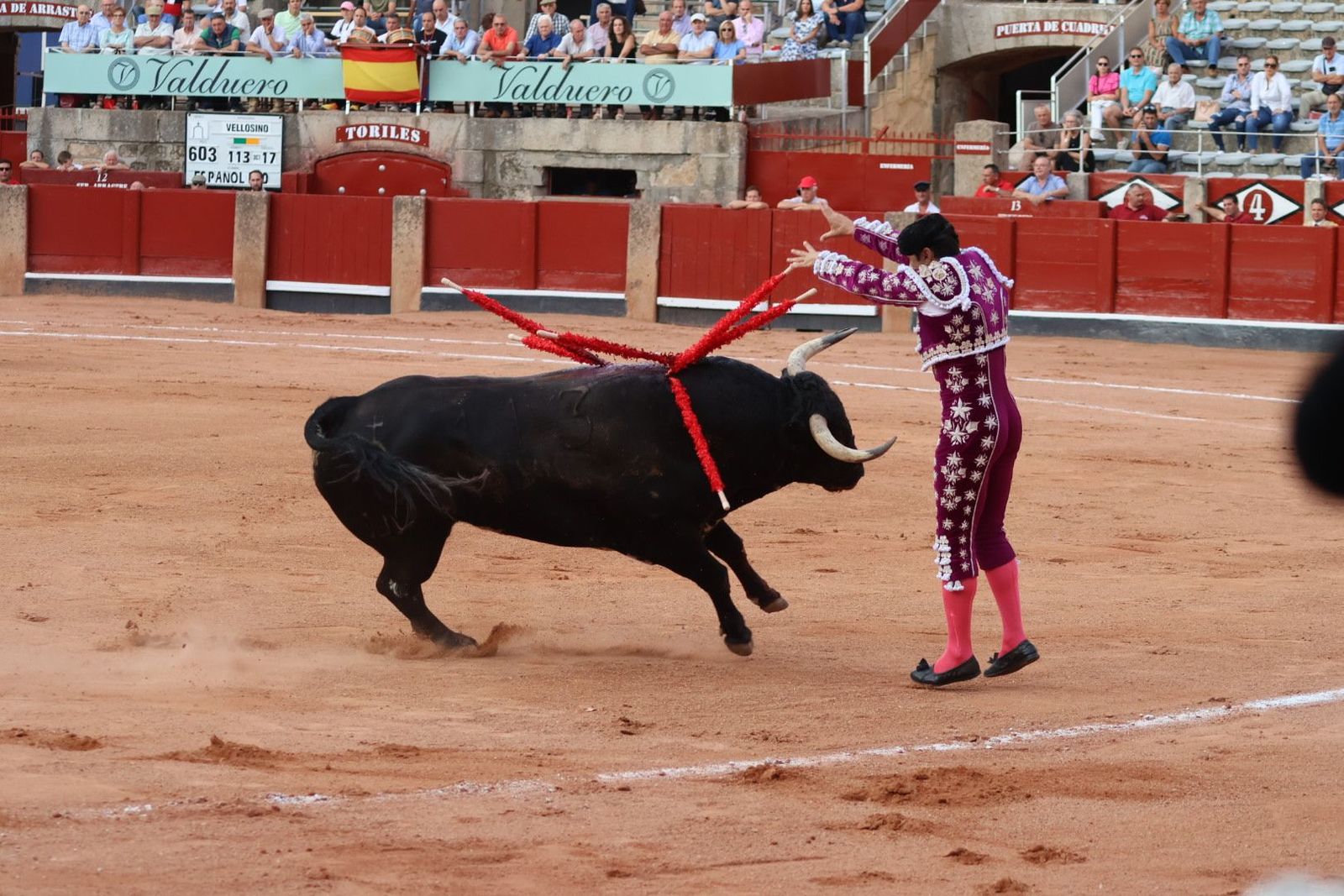 20230910185636-img-2190