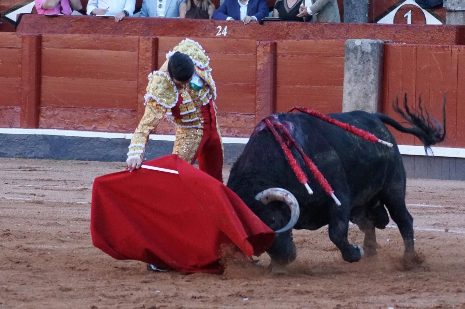 Emilio de Justo, Juan Ortega y Roca Rey inauguran el cartel de figuras en la feria de Salamanca: la corrida de Garcigrande en imágenes