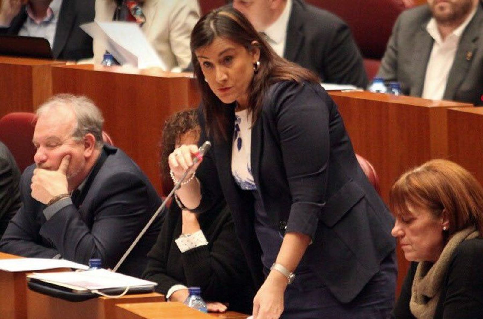 Ana sanchez psoe cortes