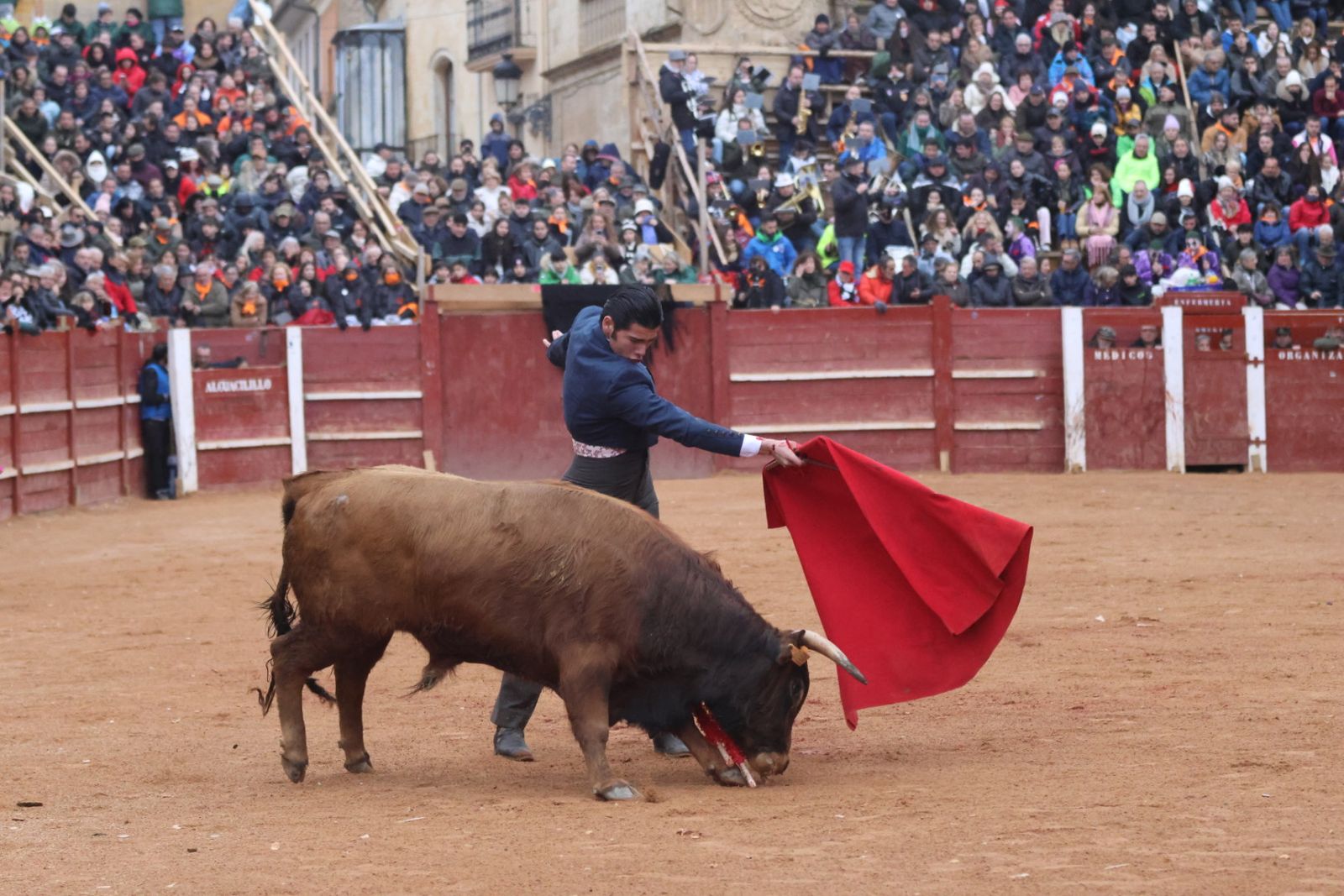 Novillada sin picadores del bolsín taurino y rejones en Ciudad Rodrigo