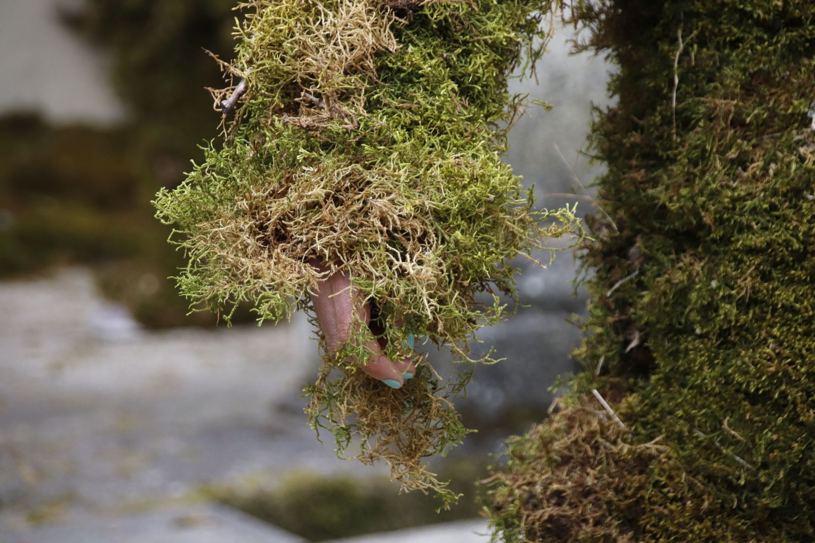 20220619092916-mg-5213