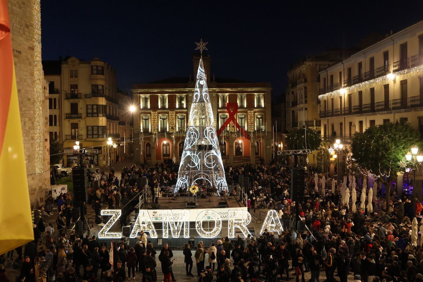 Encendido navideño en Zamora 2025 (41).JPG