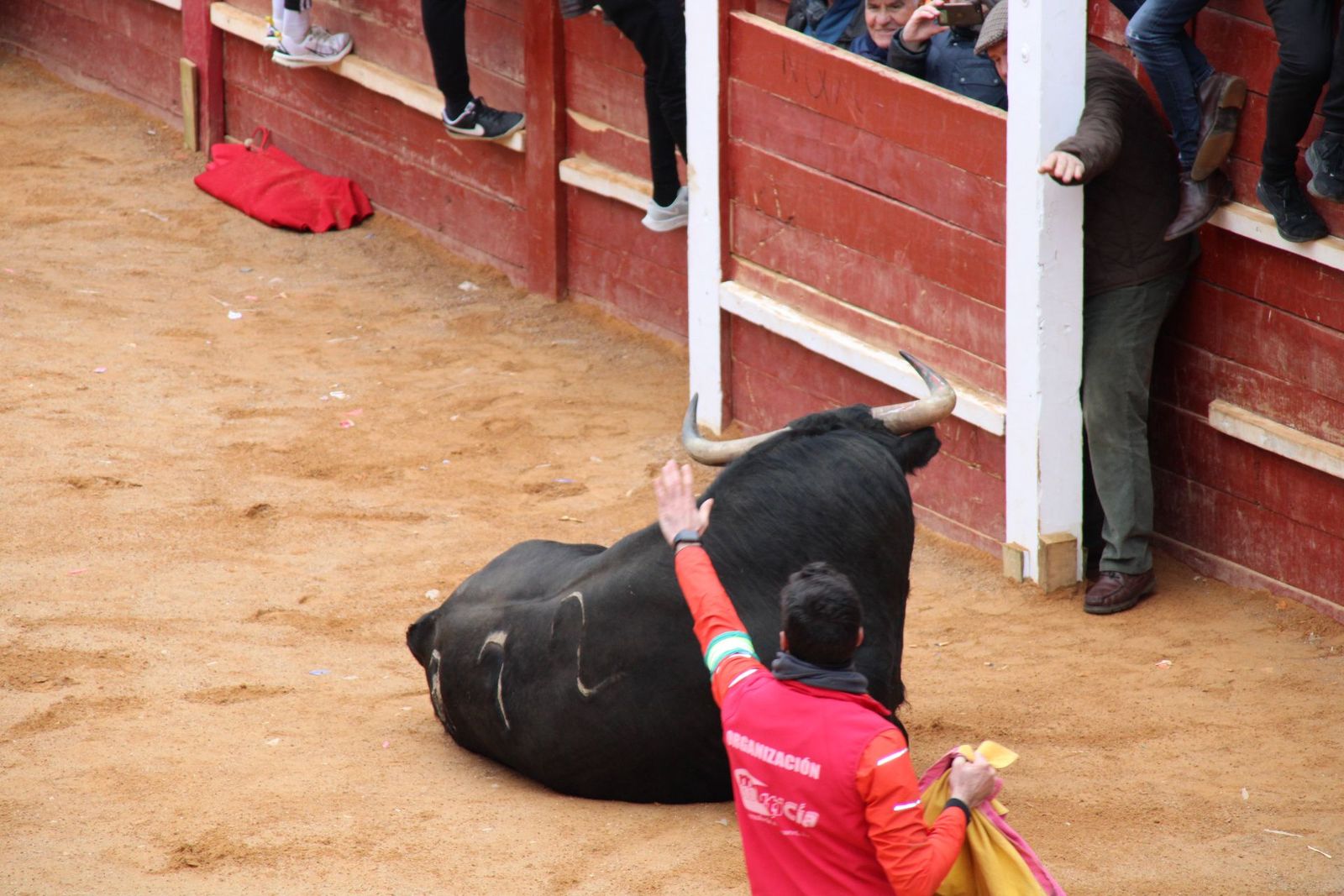 whatsapp-image-2025-03-01-at-13-18-49-2