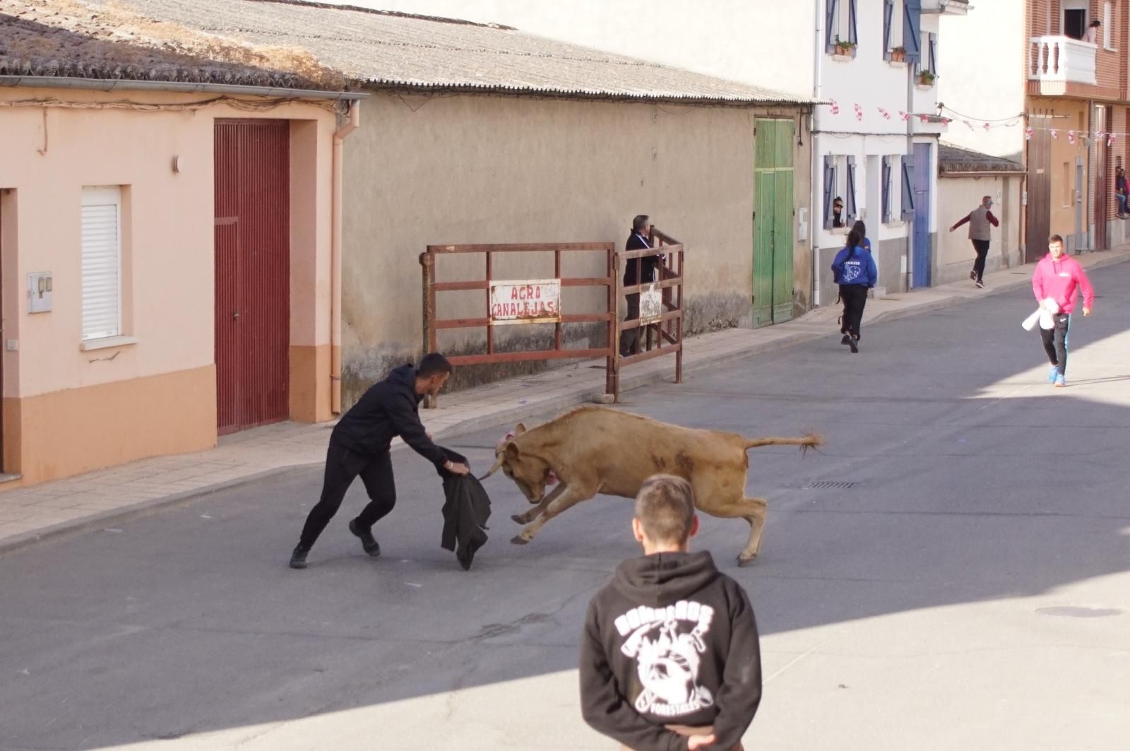 whatsapp-image-2024-09-08-at-14-04-55-4