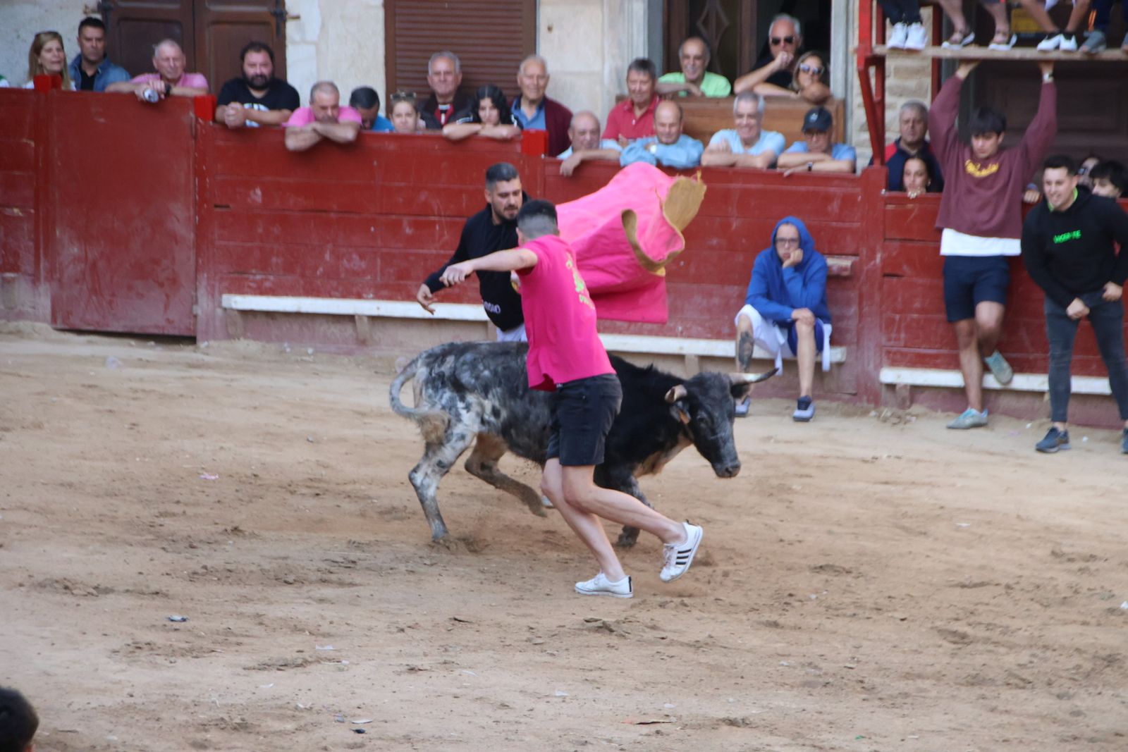 Encierro en Aldeadávila