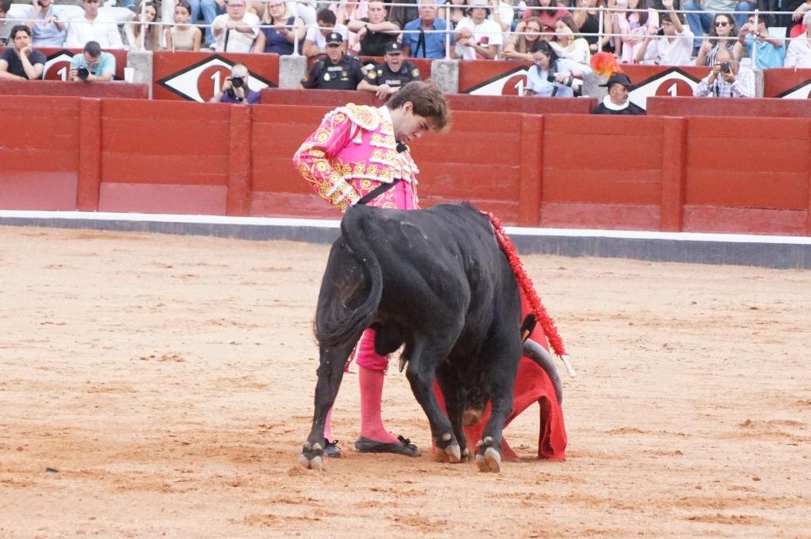 whatsapp-image-2023-09-08-at-21-24-16-2